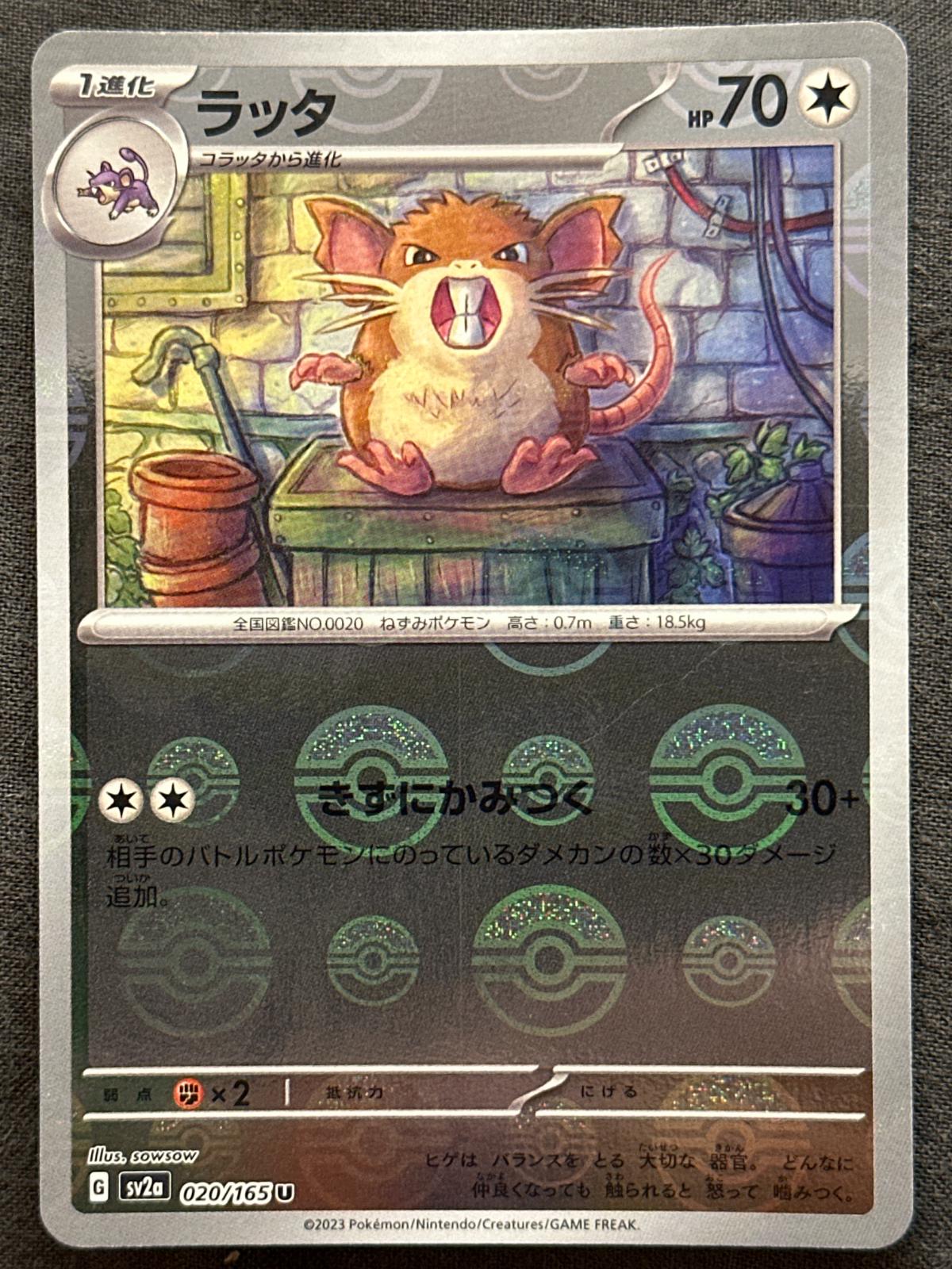 Raticate