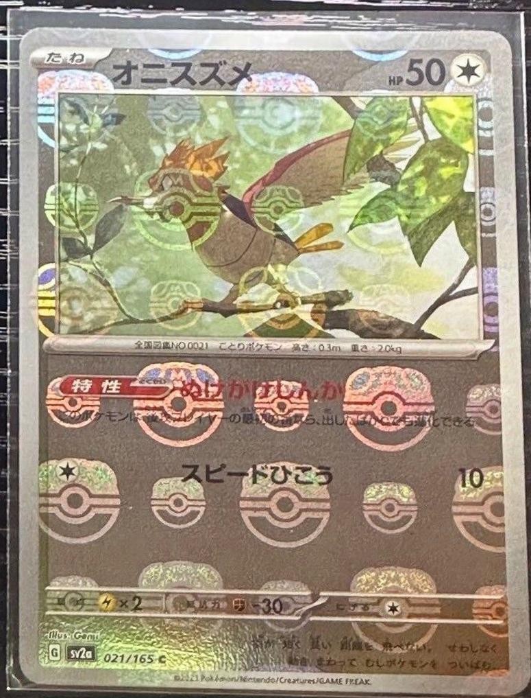 Spearow